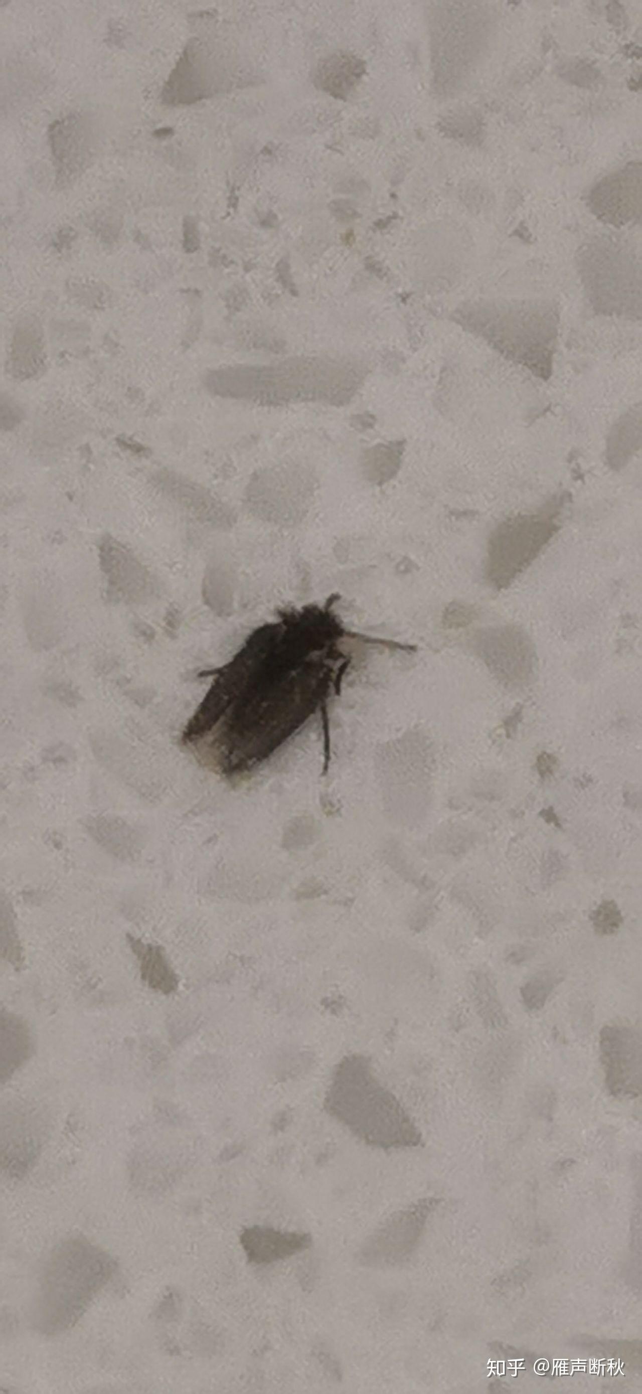 第331页