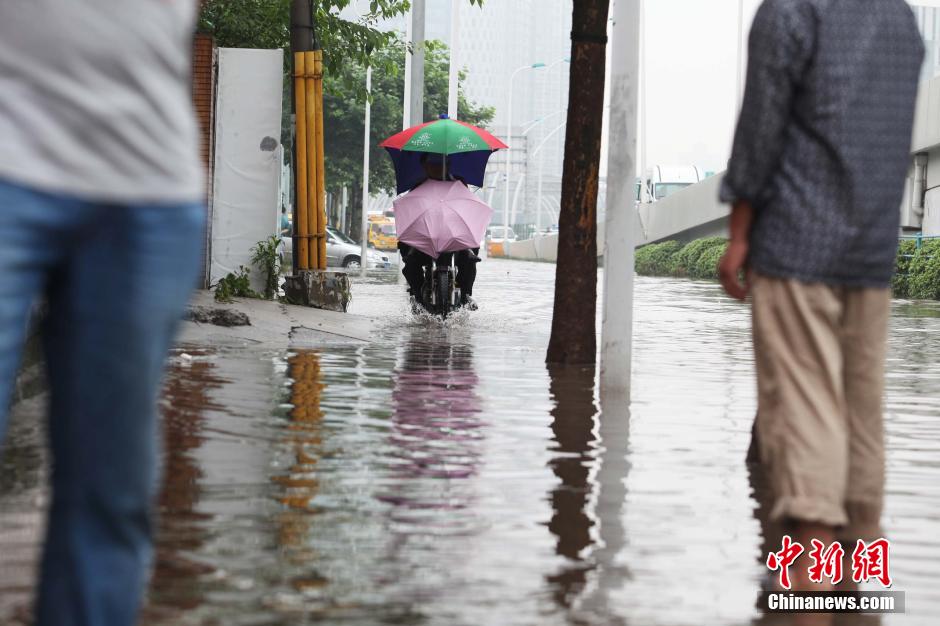 上海遭遇强降雨天气上海遭遇强降雨天气，城市如何应对挑战？