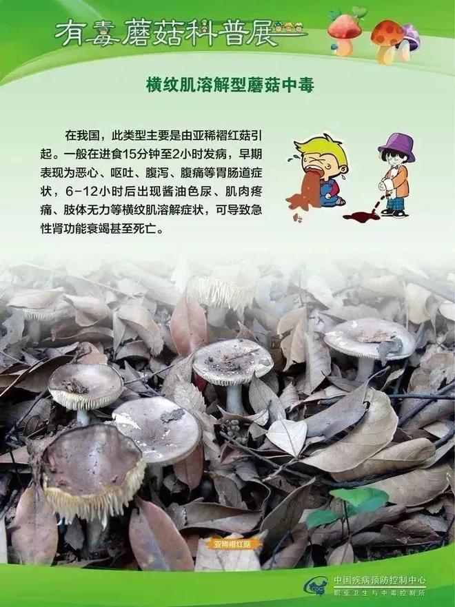 误食毒蘑菇自救方法误食毒蘑菇自救方法