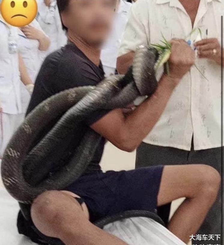 男子误将眼镜王蛇挂脖玩耍 被咬身亡男子误将眼镜王蛇挂脖玩耍引发悲剧，被咬后不幸身亡